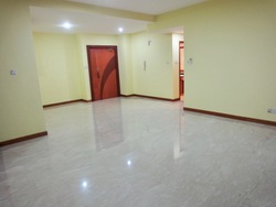 The Petals (D23), Condominium #205337511